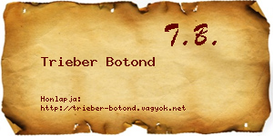 Trieber Botond névjegykártya